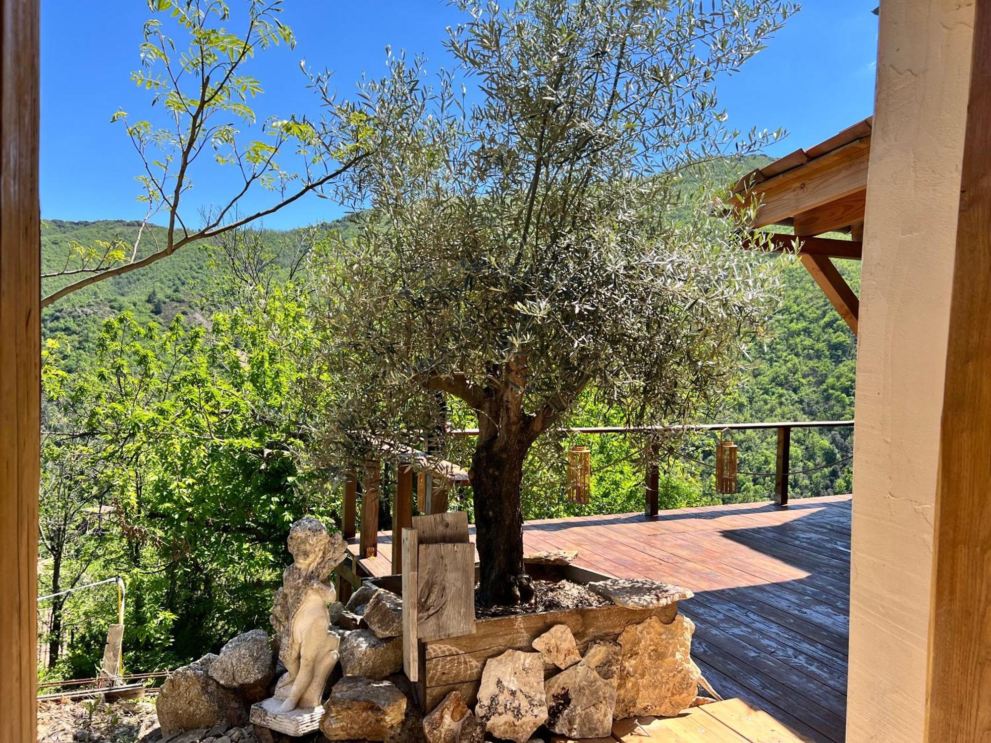 Les Magnels Bed and Breakfast Valleraugue Buitenkant foto